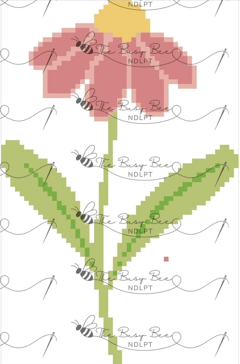 Pinky Coneflower